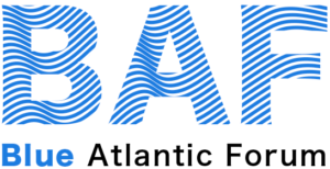 Logo BAF 2021